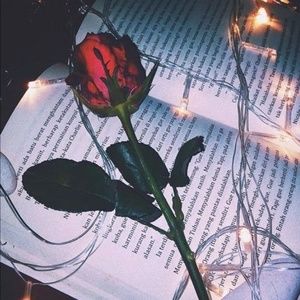 Meet your Posher, Alahna